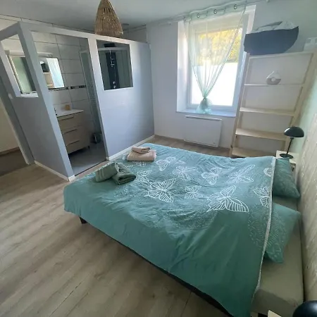 Tres Bel Appartement Au Coeur Des Vosges Saulcy-sur-Meurthe Exterior foto