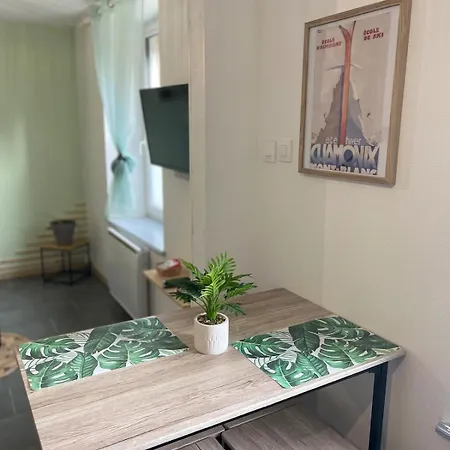 Tres Bel Appartement Au Coeur Des Vosges Saulcy-sur-Meurthe Exterior foto
