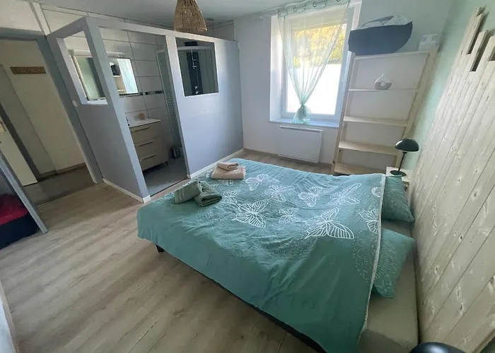Tres Bel Appartement Au Coeur Des Vosges